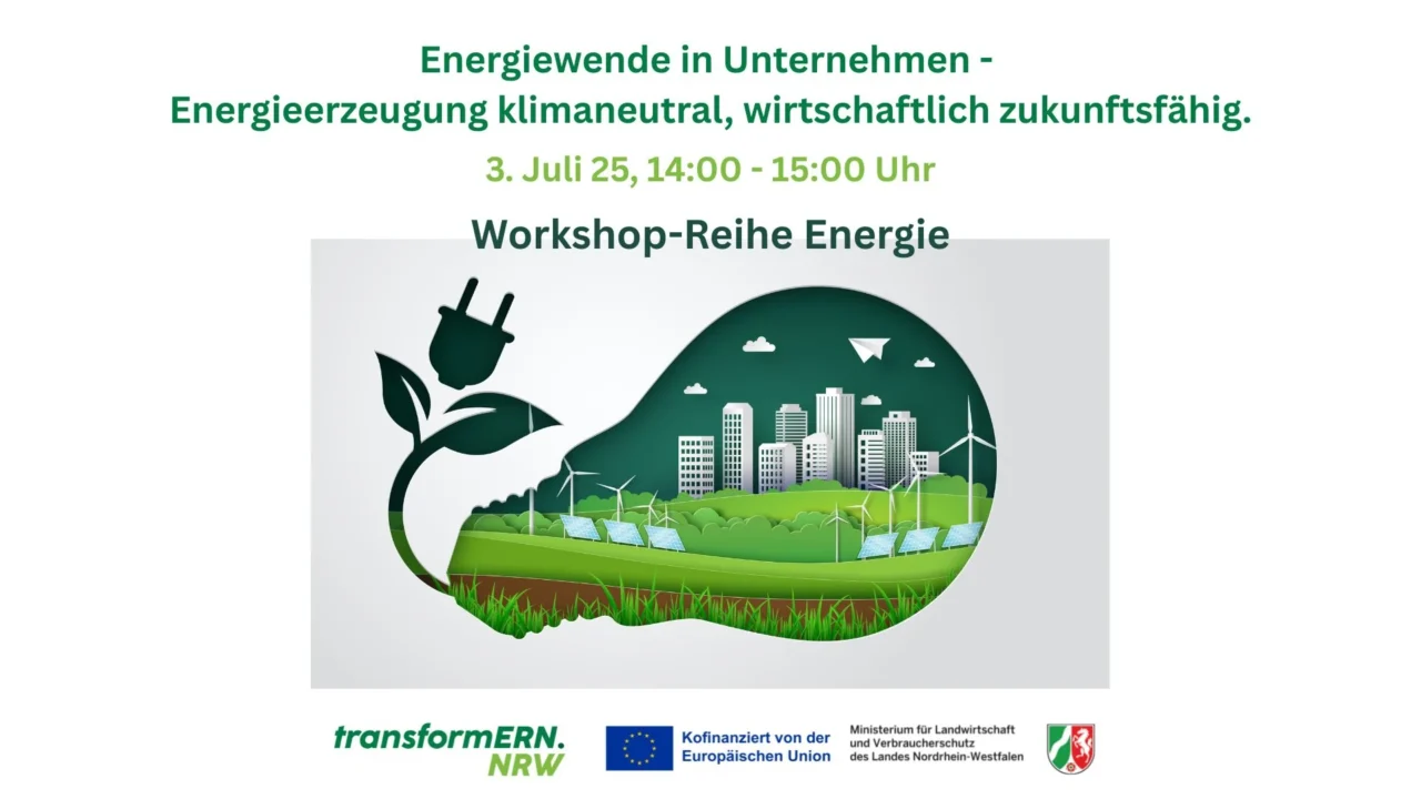 Abbildung: Workshop-Reihe (Copyright: TransformERN)