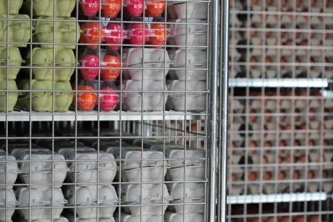 Foto: verpackte transportfertige Eier (© Yavuz Arslan | mein-ei.nrw(